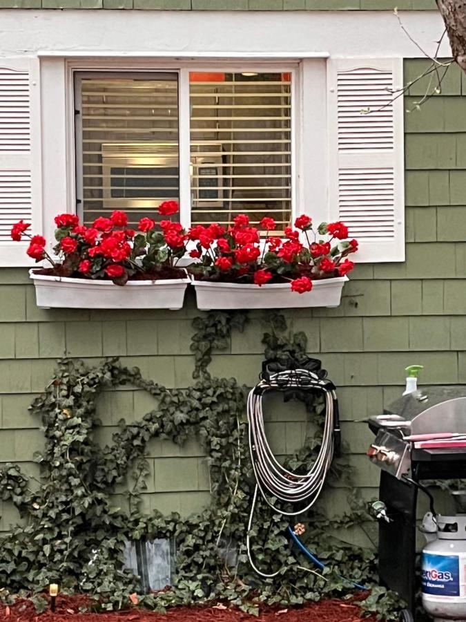 Cozy Cape Cod Grand Rapids Exterior foto