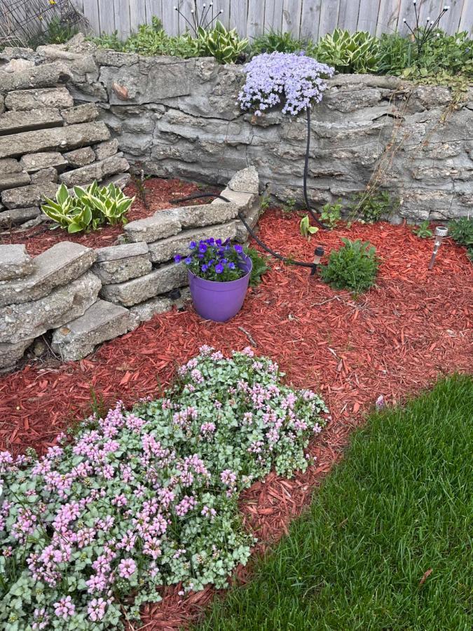Cozy Cape Cod Grand Rapids Exterior foto