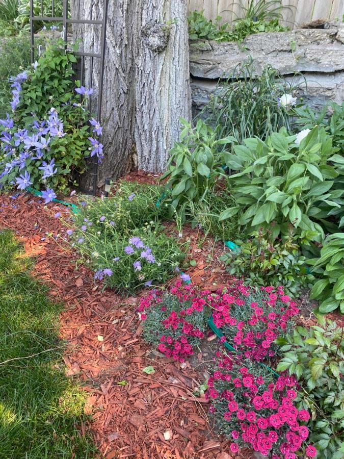 Cozy Cape Cod Grand Rapids Exterior foto