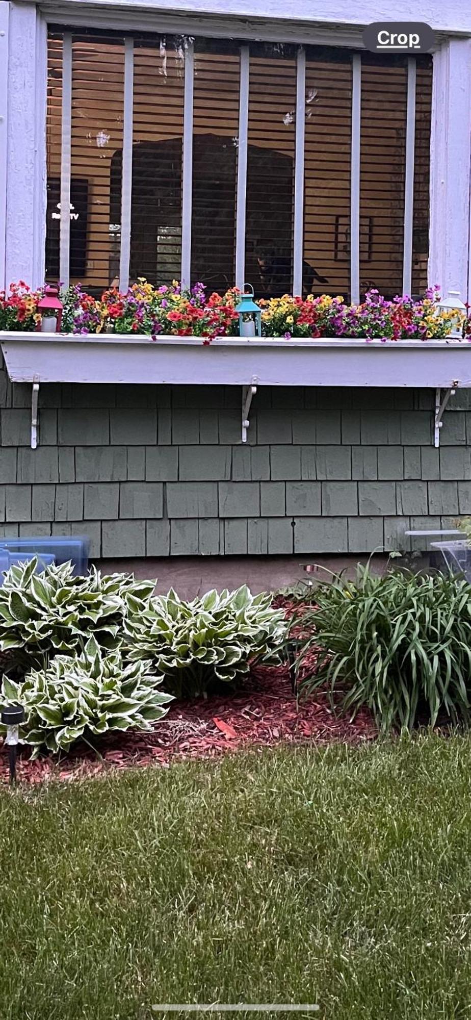 Cozy Cape Cod Grand Rapids Exterior foto