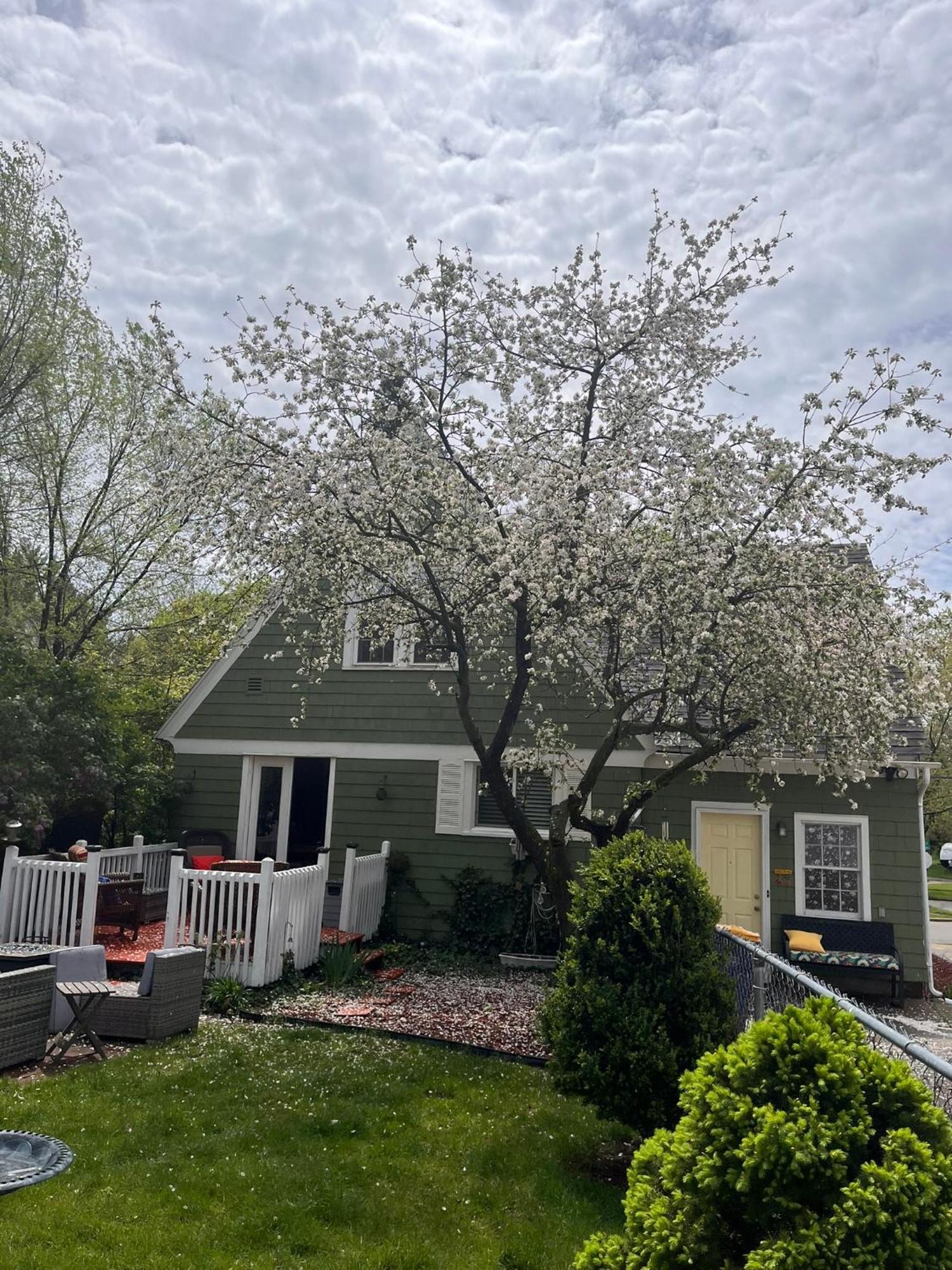 Cozy Cape Cod Grand Rapids Exterior foto